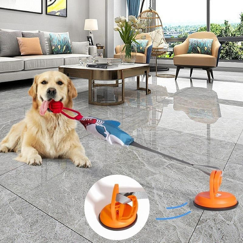 Interactive Shark-Shaped Pet Toy With Suction Cup