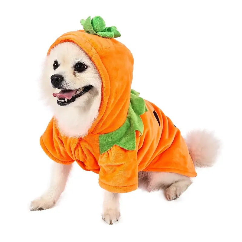 Pet Pumpkin Hoodie - Super Warm - 3 sizes