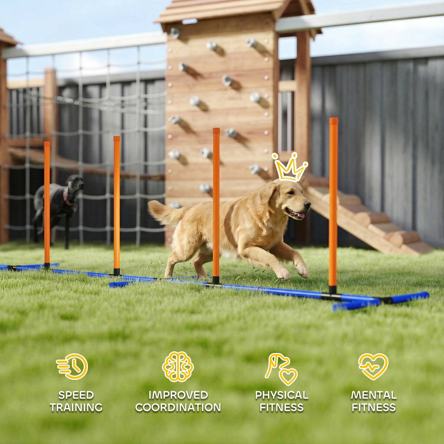 Dog Agility Training Equipment with Carry Bag