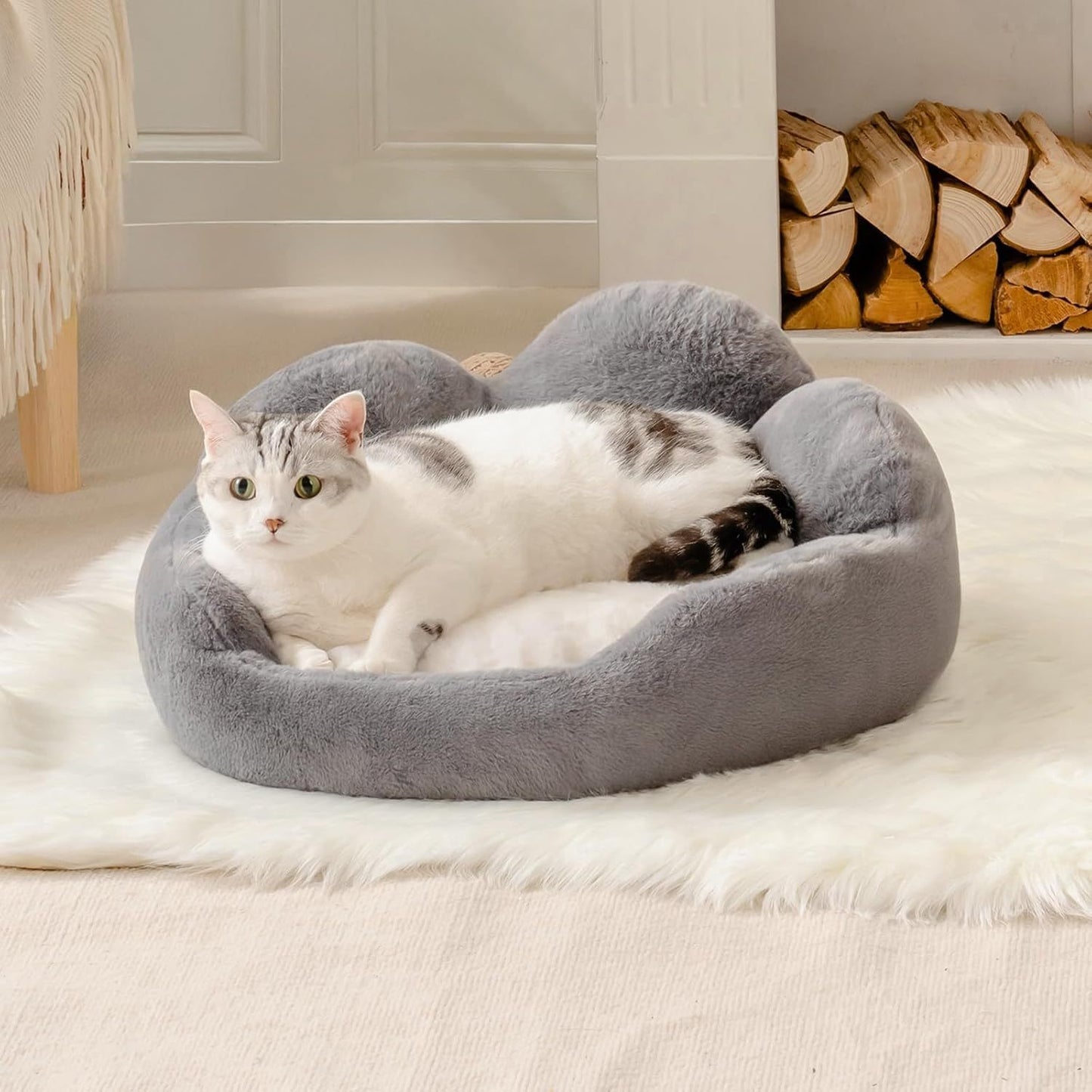 MEWOOFUN Small Dog and Cat Bed - Grey