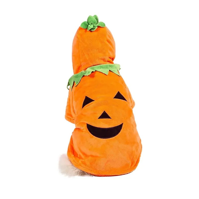 Pet Pumpkin Hoodie - Super Warm - 3 sizes