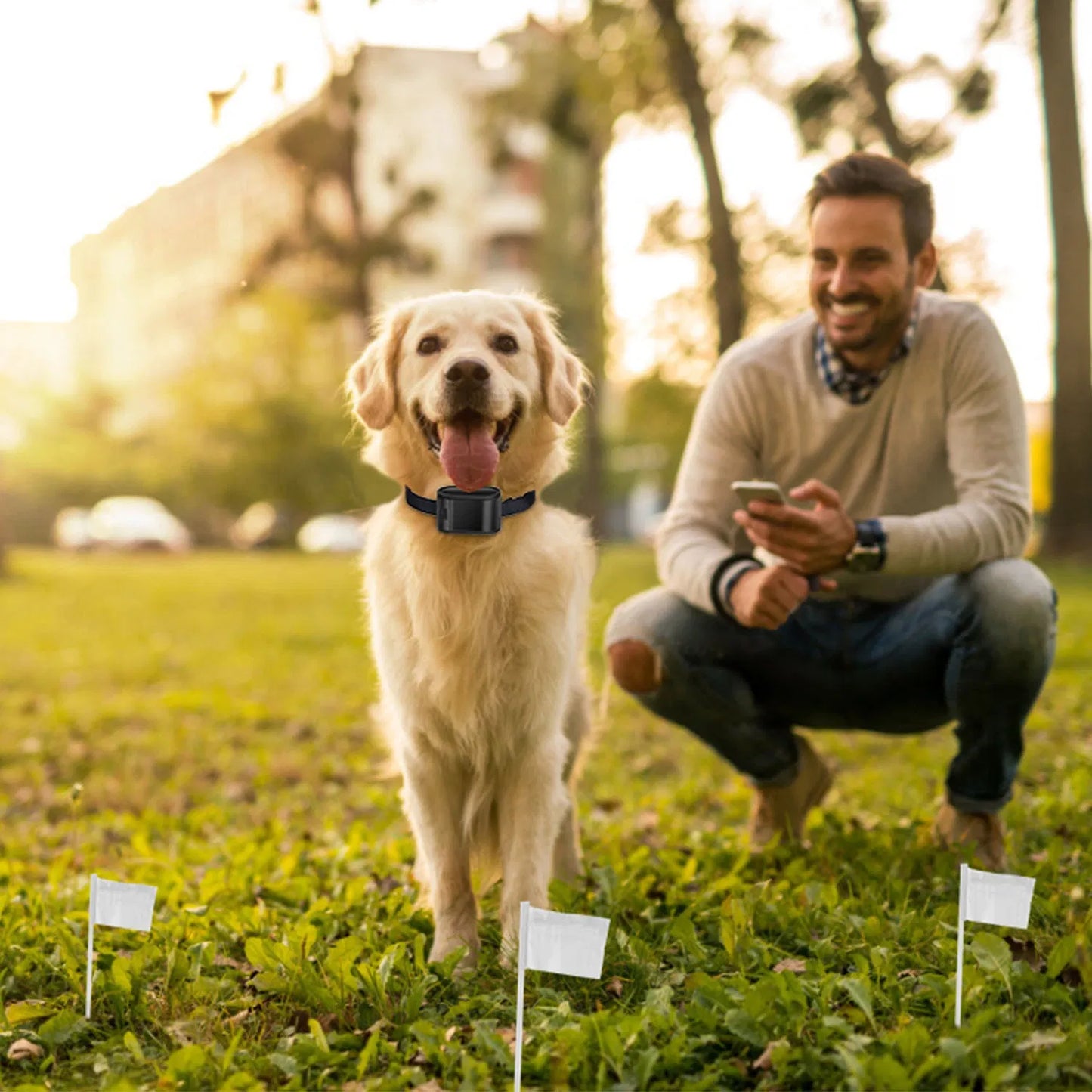 Electric Dog Fence System With (2) Collars
