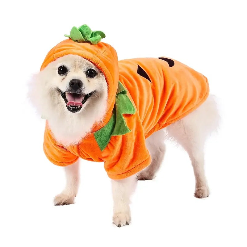 Pet Pumpkin Hoodie - Super Warm - 3 sizes