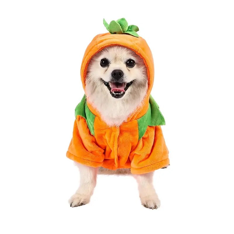 Pet Pumpkin Hoodie - Super Warm - 3 sizes