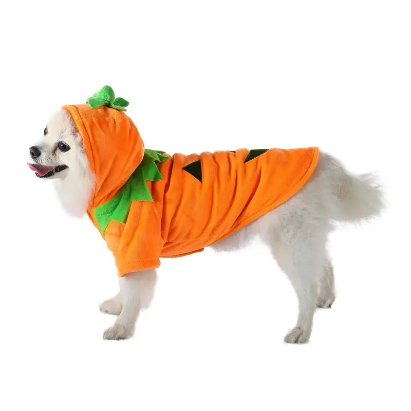 Pet Pumpkin Hoodie - Super Warm - 3 sizes