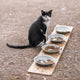 How to choose the best pet bowl