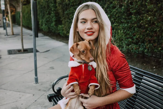 Pet Safety For Halloween