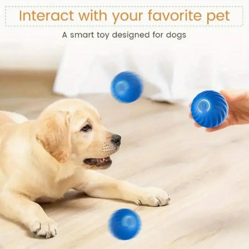 Interactive Bouncing Ball For Cats And Dogs