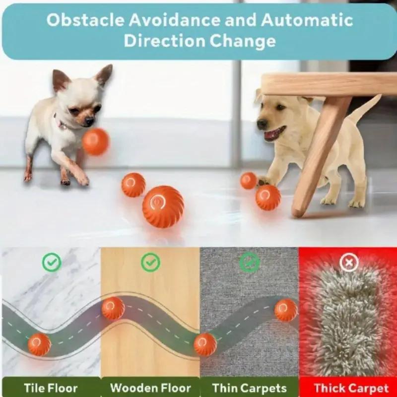 Interactive Bouncing Ball For Cats And Dogs