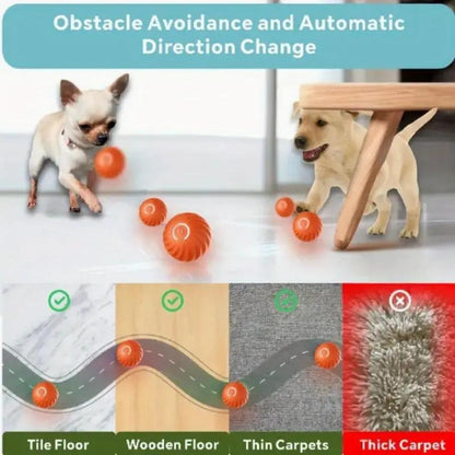 Interactive Bouncing Ball For Cats And Dogs