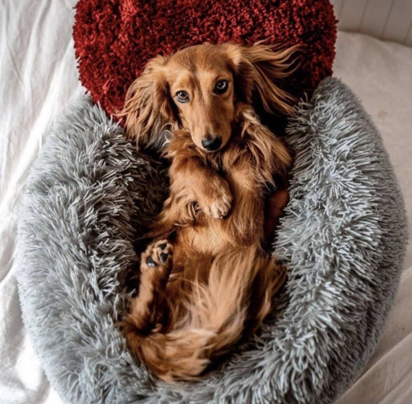 Marshmallow Pet Bed