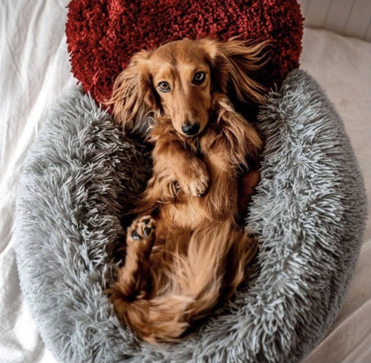 Marshmallow Pet Bed