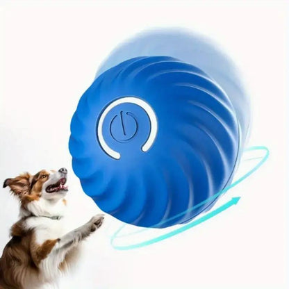 Interactive Bouncing Ball For Cats And Dogs