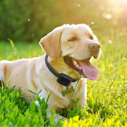 Electric Dog Fence System With (2) Collars