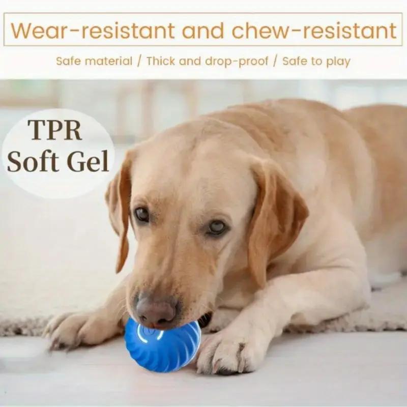 Interactive Bouncing Ball For Cats And Dogs