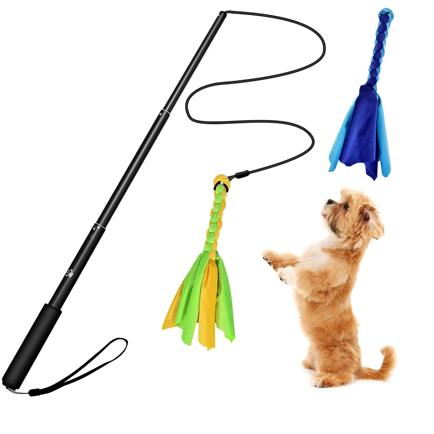 Extendable Dog Flirt Pole