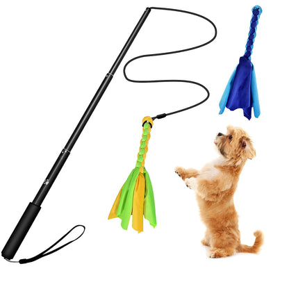 Extendable Dog Flirt Pole