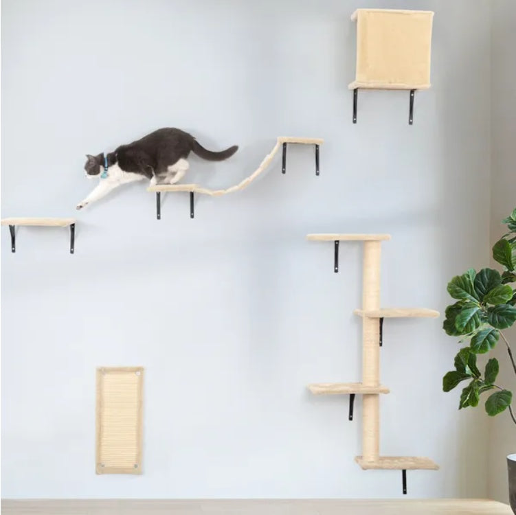 5 Pcs Wall Mounted Cat Climber Set  Floating Cat Shelves