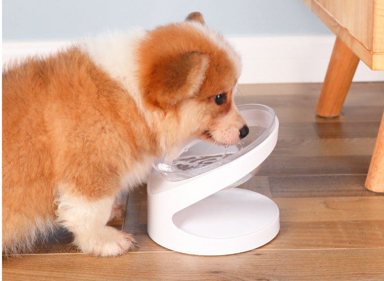 Pet Food Bowl With Diagonal Mouth
