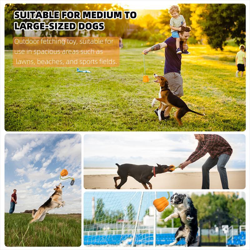 PROKEl Dog Rope Fetch Exercise Toy for Medium and Large Aggressive Chewers