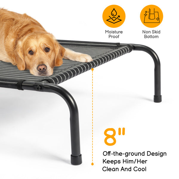 Elevated Pet Cot