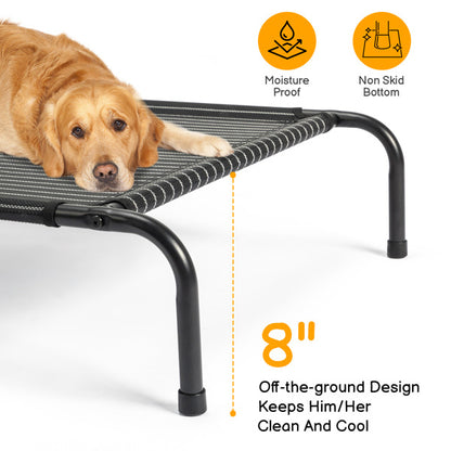 Elevated Pet Cot