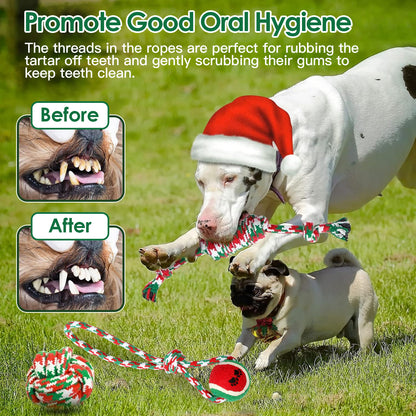 5 Piece Christmas Dog Rope Chew Toy Set