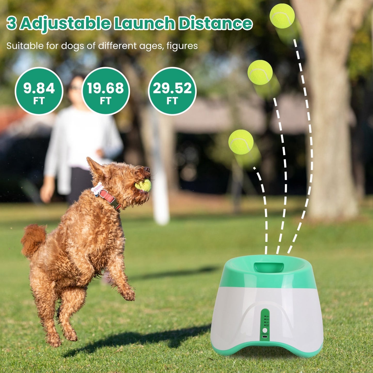 Automatic Dog Ball Launcher