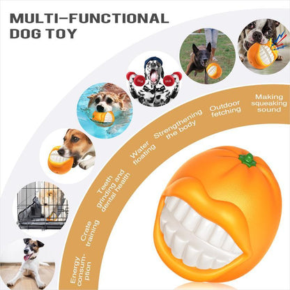 PROKEl Squeak Chew Toys With Built-in Sound Whistle