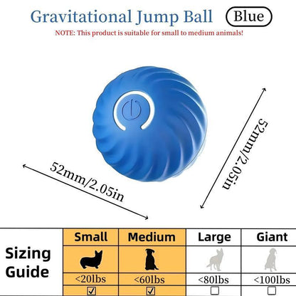 Interactive Bouncing Ball For Cats And Dogs