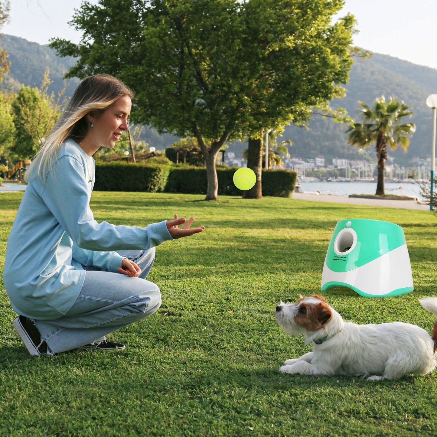 Automatic Dog Ball Launcher