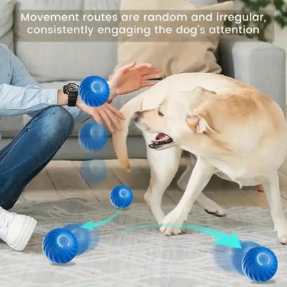 Interactive Bouncing Ball For Cats And Dogs