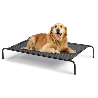 Elevated Pet Cot