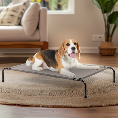 Elevated Pet Cot