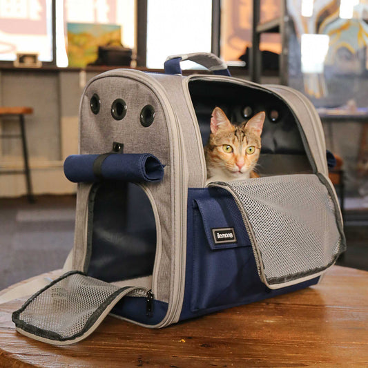 Foldable Soft Pet Carrier For Dogs And Cats
