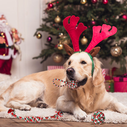 5 Piece Christmas Dog Rope Chew Toy Set