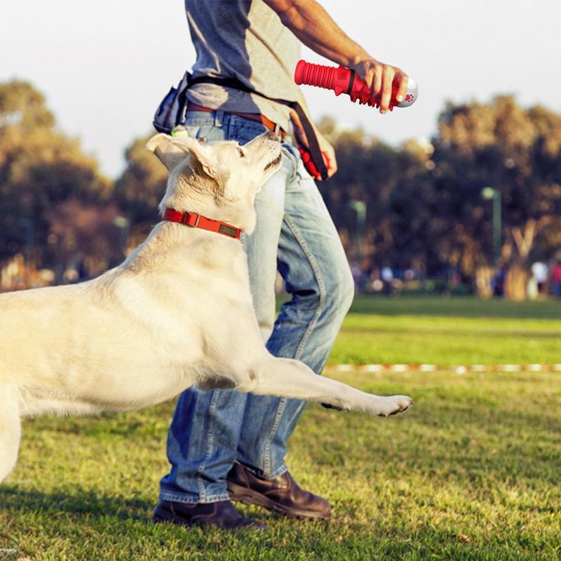 Interactive Baseball Bat/Ball Designed For Medium And Large Dogs