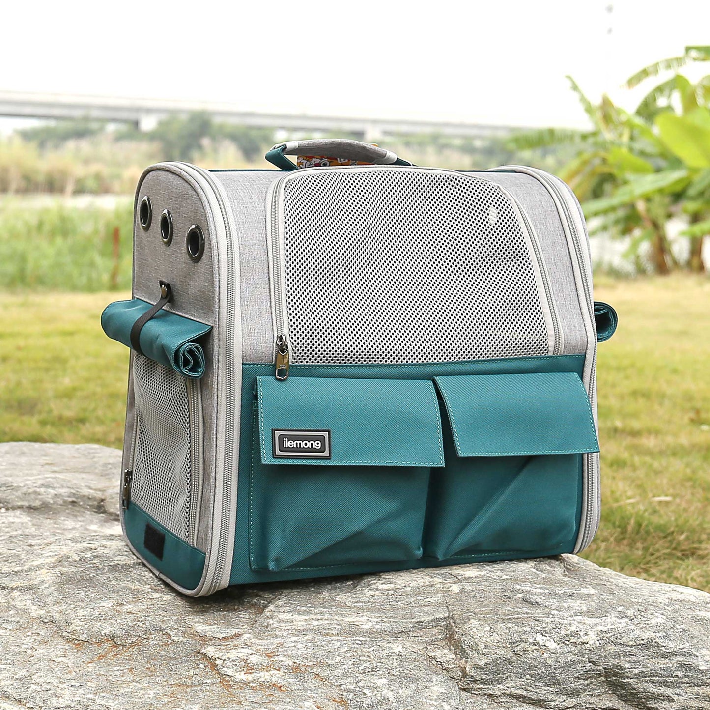Foldable Soft Pet Carrier For Dogs And Cats