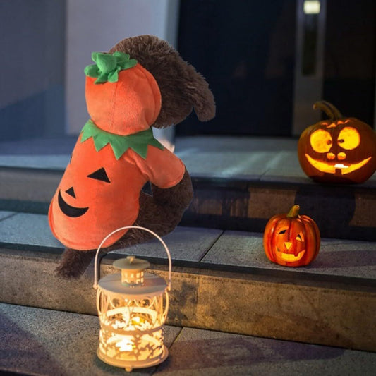 Pet Pumpkin Hoodie - Super Warm - 3 sizes