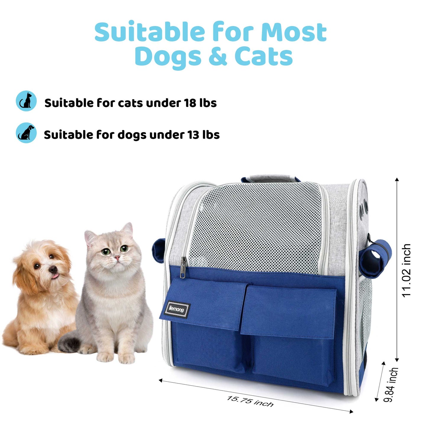 Foldable Soft Pet Carrier For Dogs And Cats