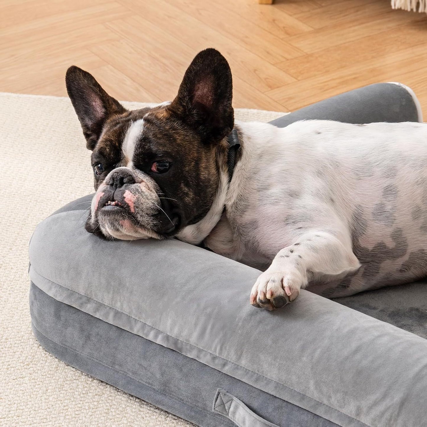 Orthopedic Dog Bed For Medium Pets by Mewoofun