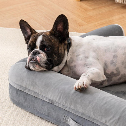 Orthopedic Dog Bed For Medium Pets by Mewoofun