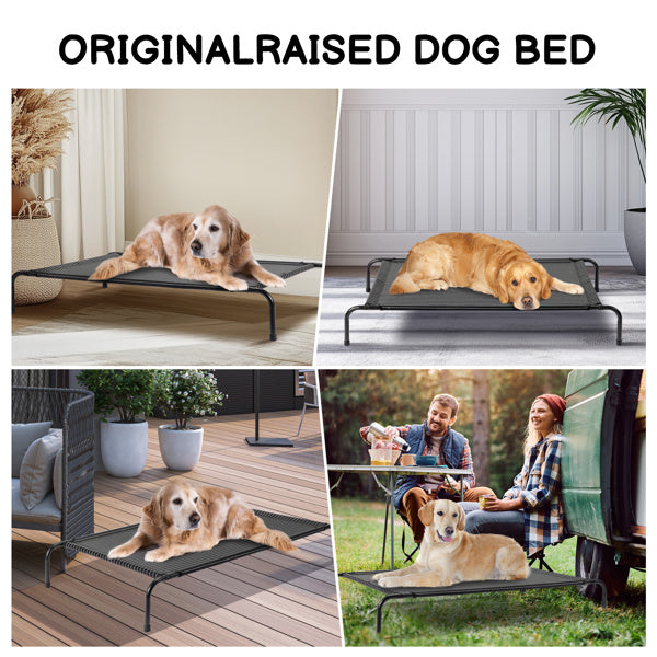 Elevated Pet Cot