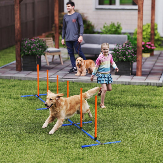 Dog Agility Training Equipment with Carry Bag