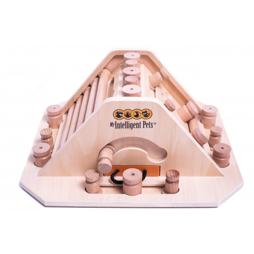 Pyramid Pet Game