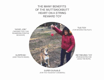 Heart on a String Ultra-Durable Durable Rubber Chew Toy