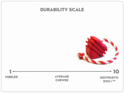 Heart on a String Ultra-Durable Durable Rubber Chew Toy