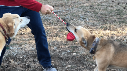 Heart on a String Ultra-Durable Durable Rubber Chew Toy