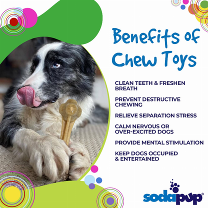 Knuckle Bone Ultra Durable Nylon Dog Chew Toy for Aggressive Chewers