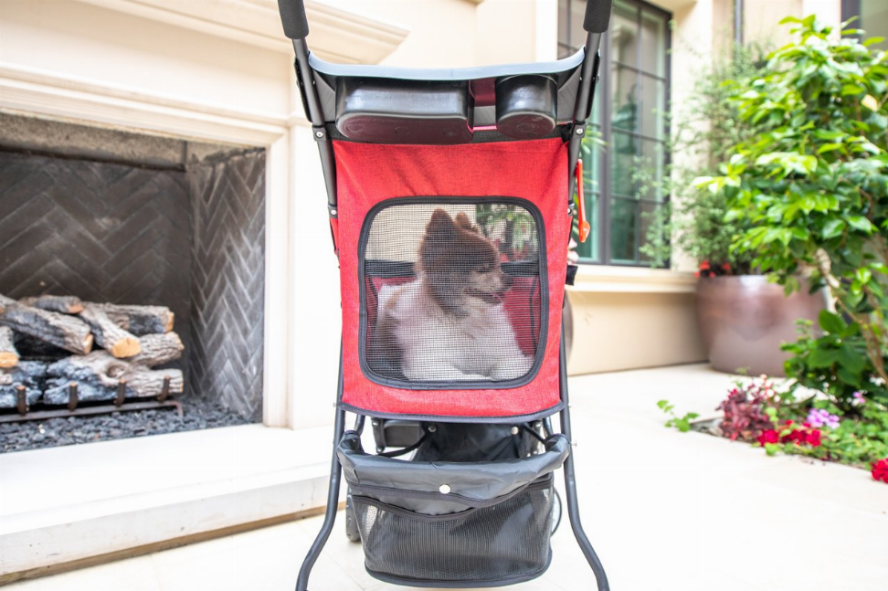 Catalina Pet Stroller - Red Robin